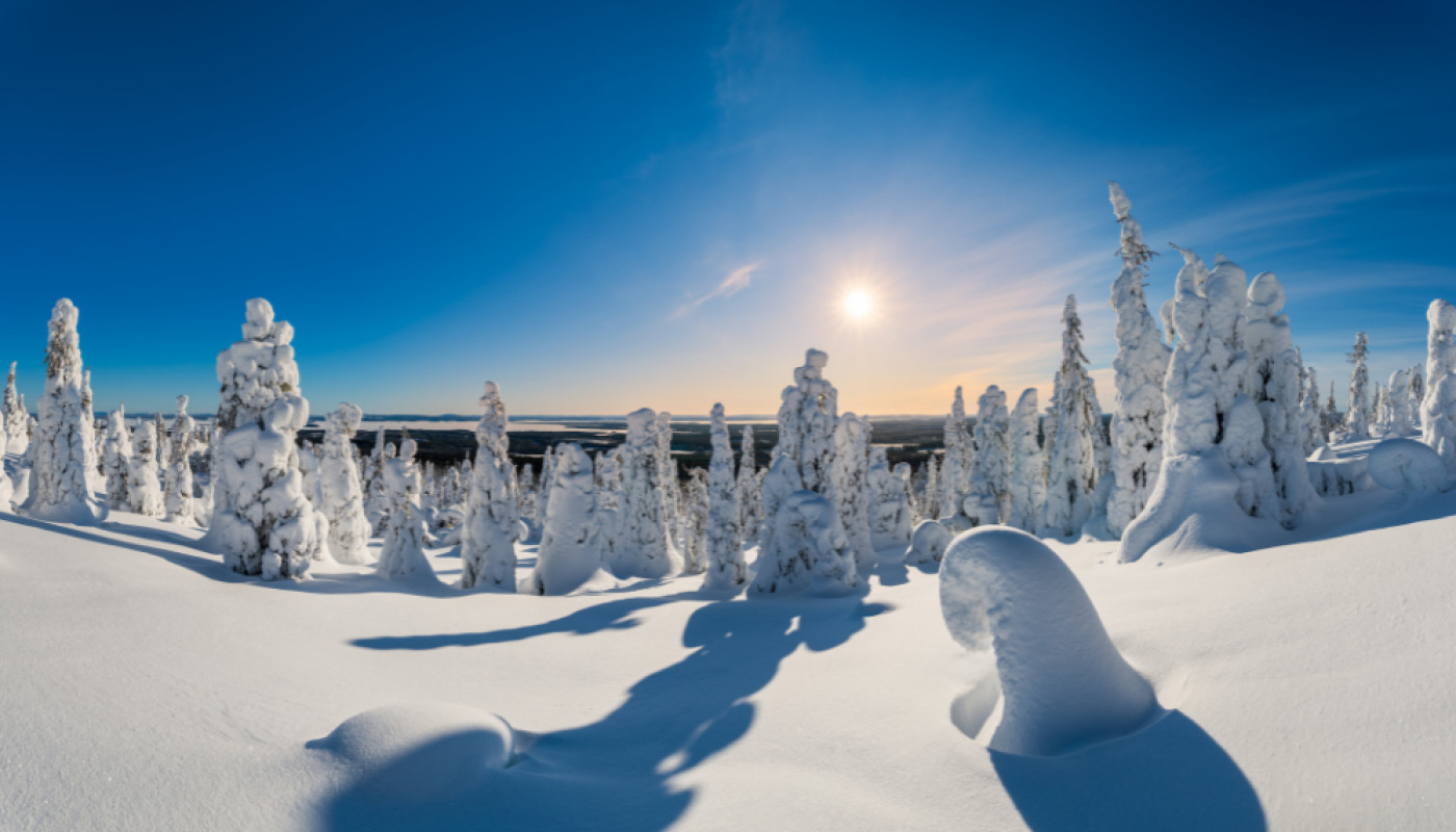 Visiter la Laponie : quelles sont les étapes incontournables pour un voyage à Noël ?